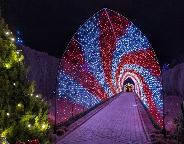 Designing the Light Tunnel at Blossoms of Light Denver Botanic Gardens